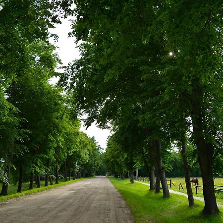 Gamtos Apsupty Apartman Palanga Kültér fotó