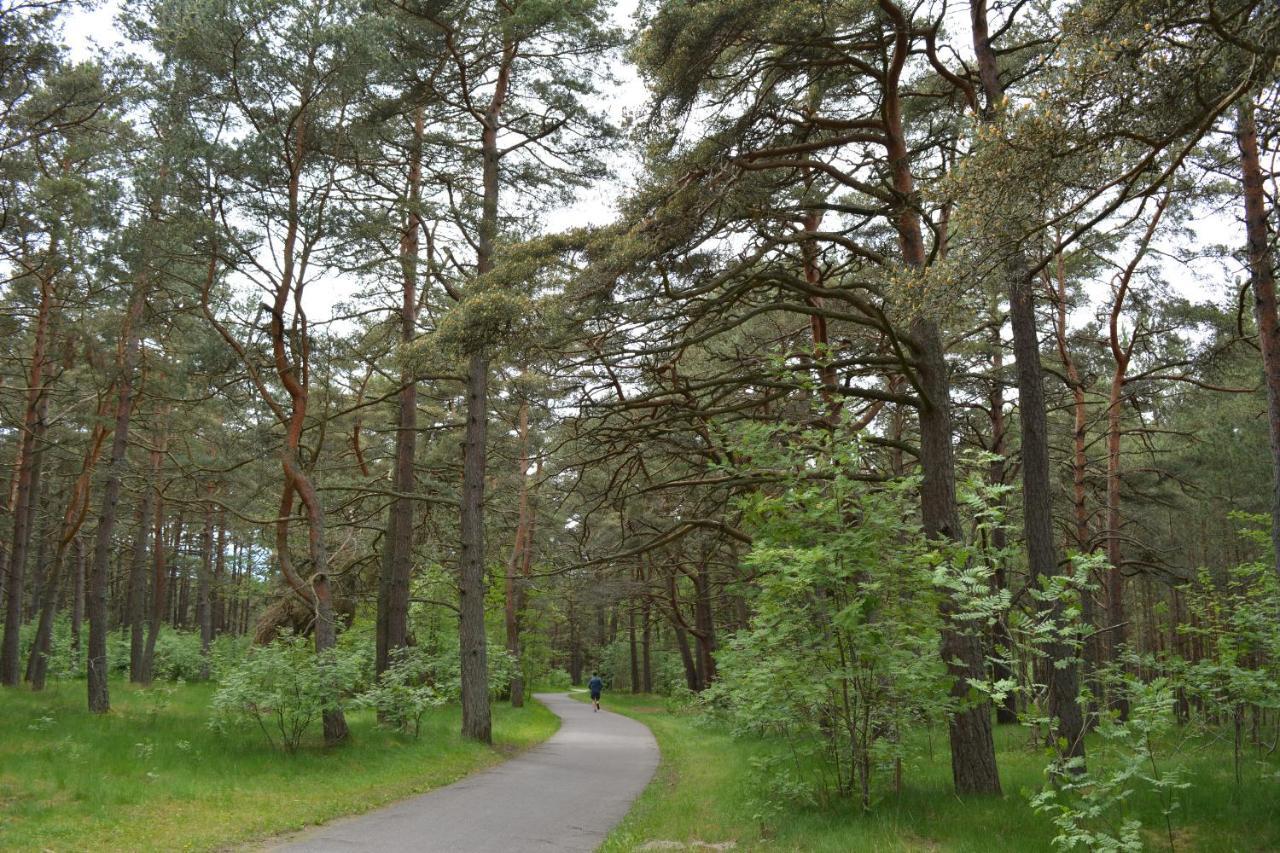 Gamtos Apsupty Apartman Palanga Kültér fotó